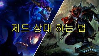 아우렐리온 솔 vs 제드 강의