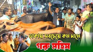 ৭০০ টাকায় ষাঁড় মহিষ! কি করে সম্ভব! buffalo price in Bangladesh