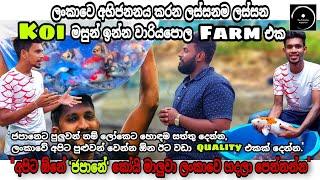 Koi / Carp Breeding Farm Tour | Sri Lanka | The Fishyflex