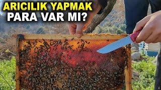 ARICILIĞIN PÜF NOKTALARI-ARICILIKTA PARA VAR MI? Sıfırdan Arıcılık? Arıcılık Eğitimi-Köyde Yaşam