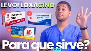 LEVOFLOXACIN WHAT IS IT FOR | 3 THINGS