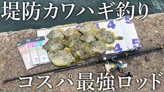 【堤防カワハギ釣りを始めたい方へ！】悶絶アタリも取りやすい3000円のカワハギロッドが激安でスゴイ