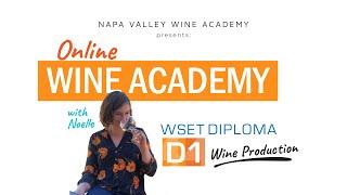 Napa Valley Wine Academy - WSET Diploma D1 w/ Noelle - #wsetdiploma #wsetlevel3 #napavalley