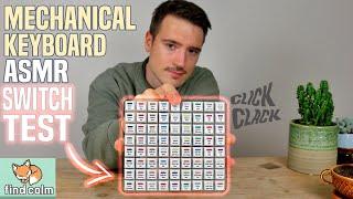 Mechanical Keyboard ASMR | 72 Switch Sound Test (clicky typing, soft spoken)