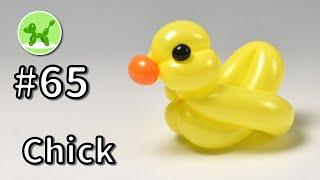 Chick - Balloon Animals for Beginners #65