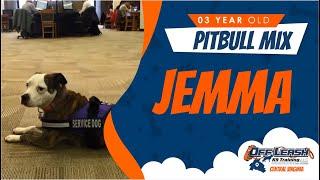 Service Dog Training Richmond, Virginia! (Jemma) | Best Dog Training in Richmond!