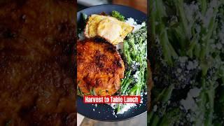 We are SO BACK!! Harvest to table lunch  #gardening #cooking #yummy