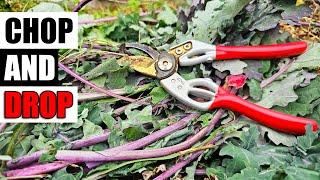 Chop and Drop Explained - Garden Quickie Episode 173