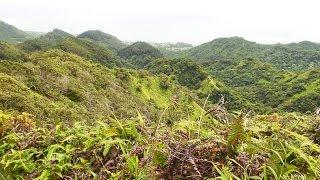 howzitboy hikes: Hauula Uka loop