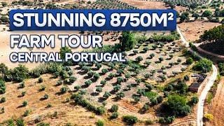  RESERVED | Stunning 8750 m2 farm for sale | Central Portugal