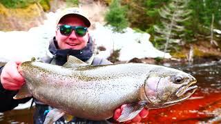 Fly Fishing Great Lakes Steelhead (Remote Solo Adventure)