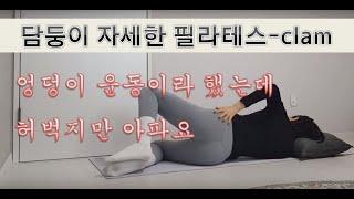 [담둥이 자세한 필라테스] 꺼진 엉덩이, 모이는 무릎엔 클램이죠!