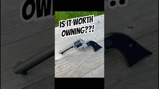 The Ruger Wrangler - Worth the Money?
