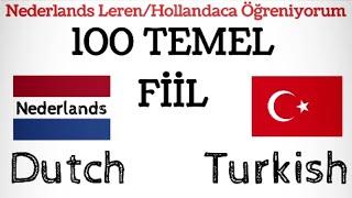 HOLLANDACA MUTLAKA ÖĞRENMENİZ GEREKEN 100 TEMEL FİİL (hollandaca öğreniyorum,nederlands,dutch)