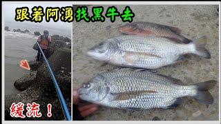 緩流！跟著阿湧找黑牛去