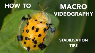 How to: macro videography (how I stabilize)