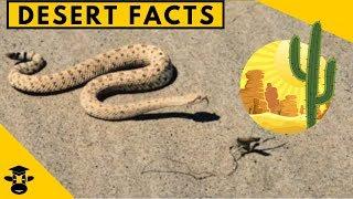 Desert facts