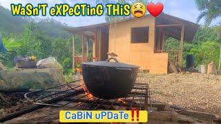 CaBiN uPDaTe! bUiLdiNg oFF gRiD CaBiN! OuTDooR CooKinG! 