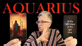 NEWS You've BEEN WAITING for AQUARIUS November 2024 Tarot Reading