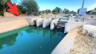 Exploring Arizona's Urban Fishing Spots! (Underrated)