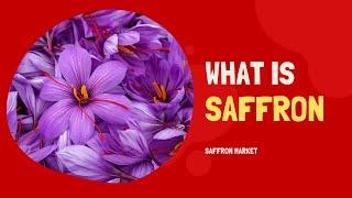 What is Saffron?