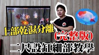 過濾系統如何裝?二尺缸上部過濾仿底濾裝法詳細教學 #中國風金魚