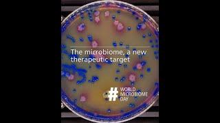 The microbiome, a new therapeutic target | #laCaixaFellowships