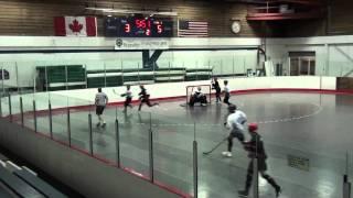 Ball Hockey Fights - Ball Hockey Brawls - Ball Hockey Fight - Ball Hockey Brawl