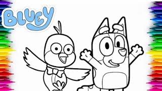 Kids | Drawing for Kids | Art for Kids | Children's Education | Cartoon | Disney | Bluey Episodes 