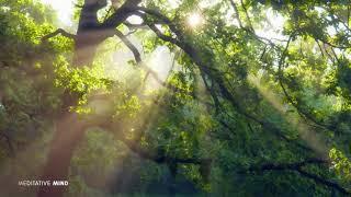 Good Morning Music 432Hz  Wake Up Happy & Fresh   Nature + Sound Healing Therapy