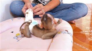 0MG! Dad & Yen turn to stare at diaper with his poooooop on the mattress,