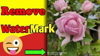 Remove WaterMarkRemove WaterMark From Camera PhotoSidhi Tech