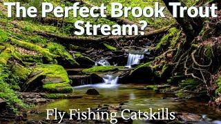 I Found the Perfect Brook Trout Stream! FlyFishing Catskills, NY