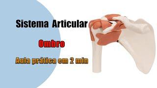 Articulação do ombro e seus Ligamentos - Anatomia Humana - Anatomia