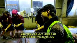 세계테마기행 - 일본의 맛을 찾아서, 규슈 2부 바다, 일본의 맛을 만들다_#003