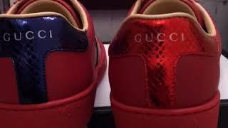 Gucci low top bee red calf skin Unboxing