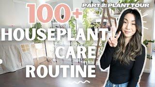 How I Care for 100+ Houseplants PART 2 | Plant Chores | Houseplant Care Routine + Tips | VLOG