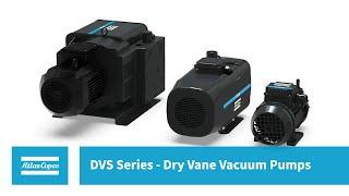 DVS Series dry rotary vane vacuum pumps