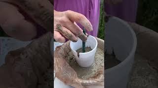 Garden mushrooms made easy!￼