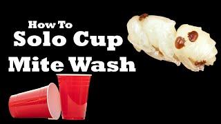 How To Solo Cup Mite Wash