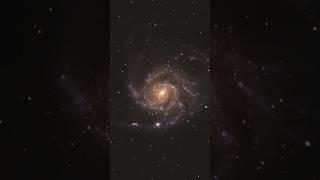 I captured an exploding star in the Pinwheel galaxy (m101) #supernova #m101 #pinwheelgalaxy #space