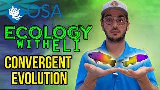 Convergent Evolution | Ecology with Eli