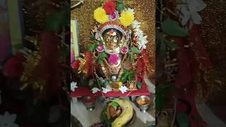 Mahalaxmi Pooja on Shubha Deepawali #mahalaxmipooja #pooja #homepooja #belagavi