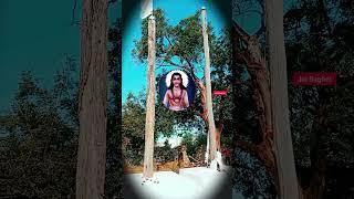 Guru Amar Saheb Ji ।। Telasipuri Dham Chhattisgarh ।। Panthi Shorts