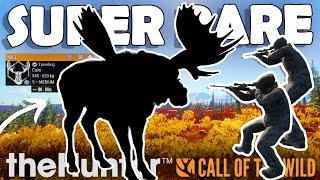 Yukon Delivers a SUPER RARE MOOSE on a GUIDED HUNT!!! - Call of the Wild