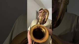 Robert Anchipolovsky Solo on Out Of Nowhere ​#charlieparker #jazzmusic #baritonesax #jazzsolo