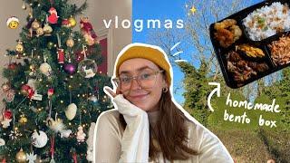 decorating the house & homemade bento box | vlogmas