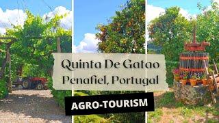 Agro-tourism farm stay near Porto, Portugal ~ Cooking for 14 and tour of the farm