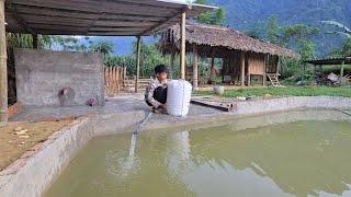 Poor boy - Go to the fish farm to buy a lot of grass carp to release into the pond