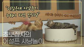 [하나네찌 남매냥 Vlog] 초보집사의 입양초기 사냥놀이│[Hana&Nezzi] Hunter game of novice master for cats